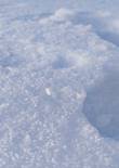 20230119_105828 (Large).jpg (234160 bytes)